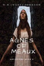 Agnes Cover Pallete 4