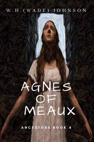 Agnes Cover Pallete 4